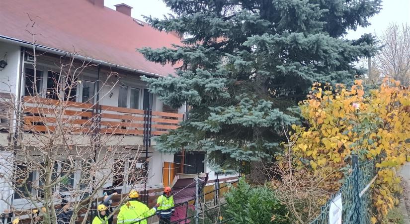 Érkezik a fenyő a Dobó térre!