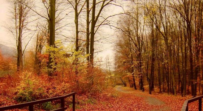 Az ősz legszebb pillanatai a Mátrában  fotók