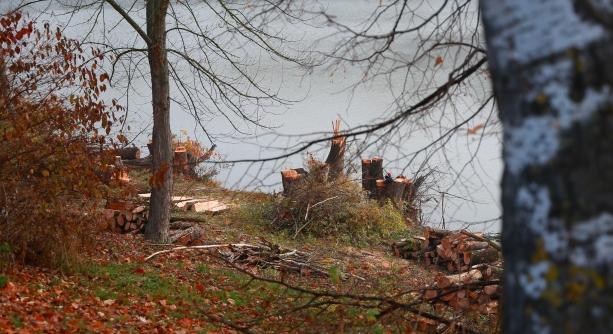 Fontos munkák zajlanak a Szalki-szigeten
