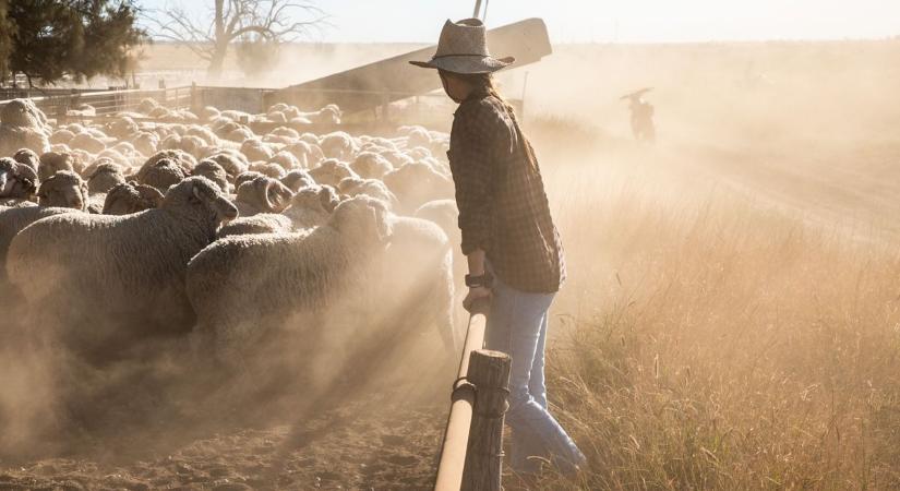 Átverné a gazdákat Brüsszel