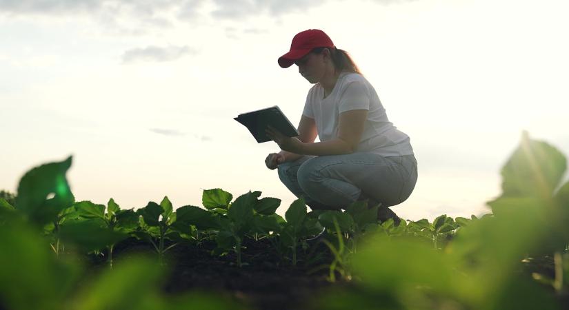 Nem bánták meg, hogy nőkre bízták a gazdálkodást