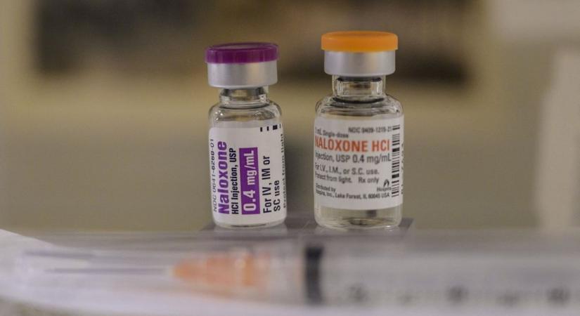 „Örökölt hiány” – Milyen hatással van egy gyermekre, ha szenvedélybeteg családban nő fel?