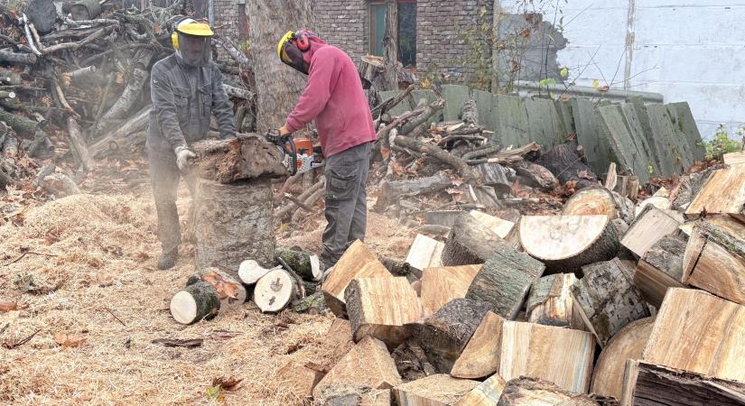 Megkezdődik a szociális tűzifaosztás és a nyesedékfa-gyűjtés