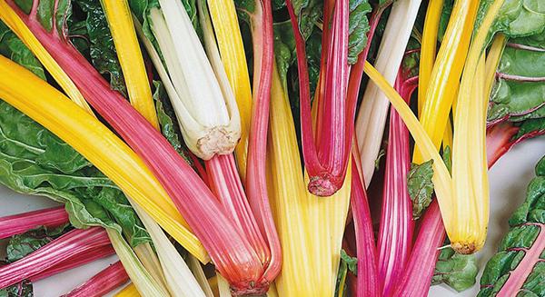 Sokoldalú mángold: több figyelmet érdemelne