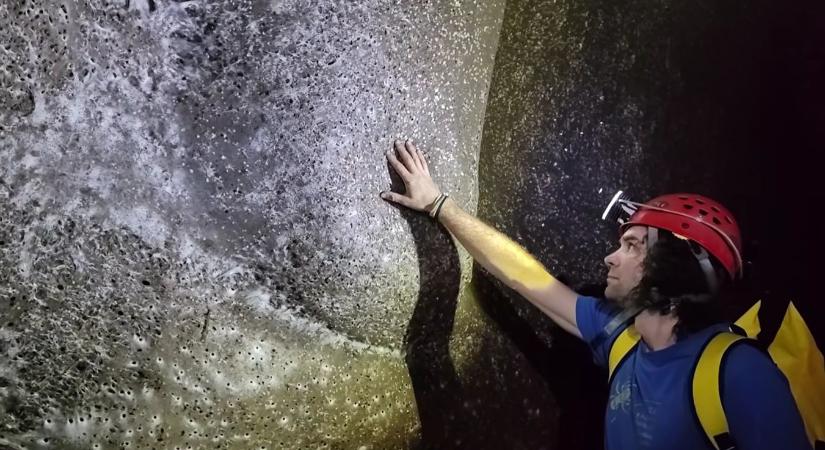 Erdélyi szakértő segített felfedezni a világ talán legnagyobb pókhálóját