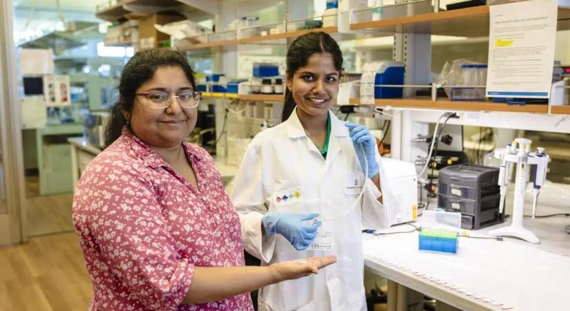 Megcsinálták a tüdőrák „alkoholszondáját”, egy kilégzésből megmondja, van-e daganat a mellkasában