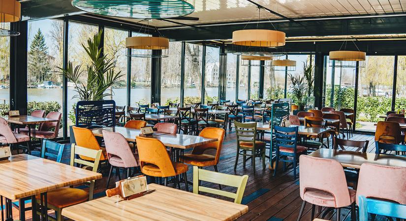 Természetközeli élmények a pesterzsébeti Duna-parton