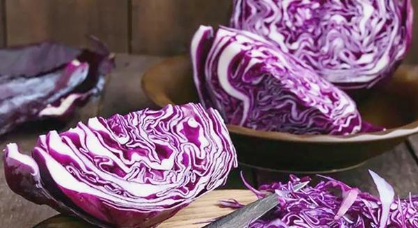 Vörös káposzta: a növényvilág kaméleonja