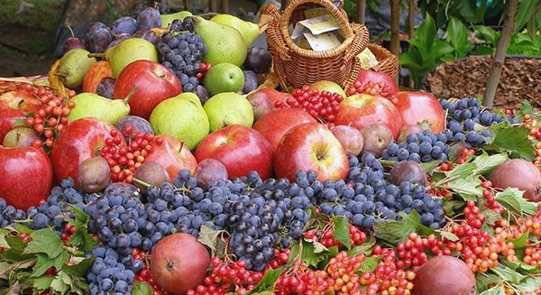 Segítsük ősszel a kerti növényeink felkészülését a télre