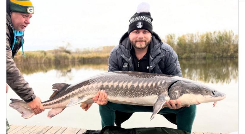 Élete halát kapta ki: a pecázásban vigasztalódik a doppingvétség miatt eltiltott magyar olimpikon