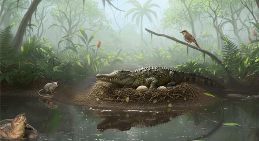 Fára mászva vadászhattak az ausztrál őskrokodilok