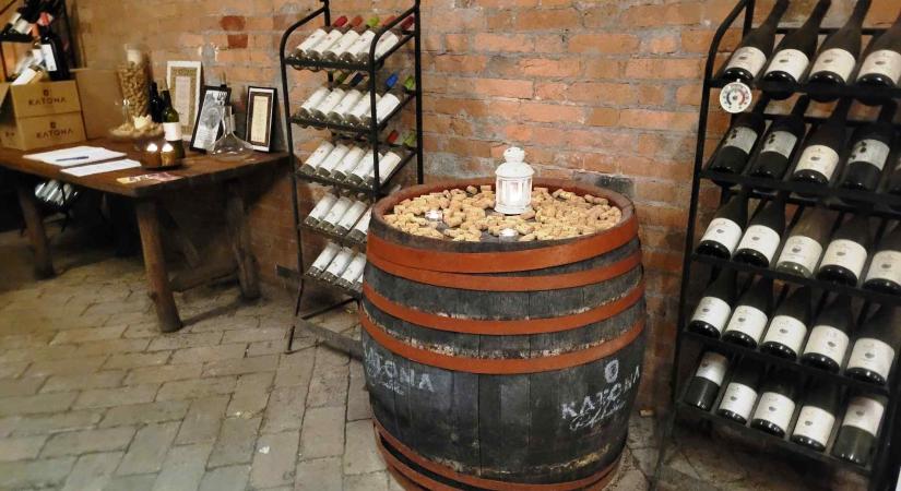 Novemberi Pincejárat Budafokon