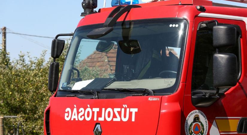 Ez az eszköz az idősek védőangyala lett – mégsincs minden idősnél