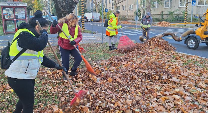 Folyamatosan gyűjtik a lombot Győrben