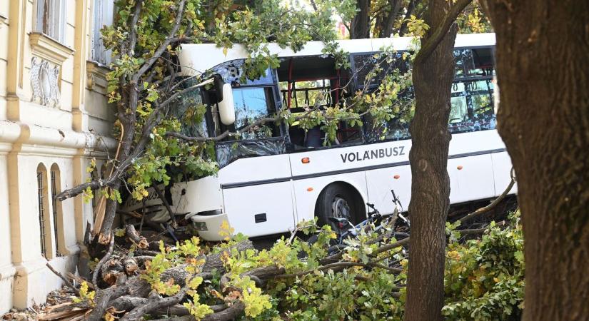 Kulcsfontosságú dolog derült ki a buszról, amely az egyik szolnoki gimnázium falába csapódott