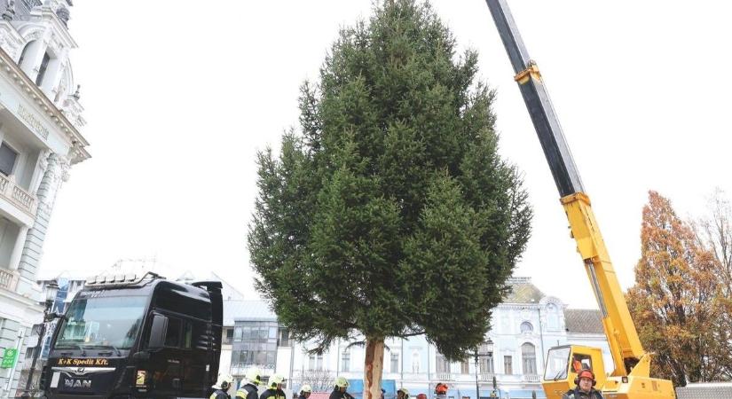 Karácsonyfaként kezdte és így is zárja történetét Nyíregyháza idei fenyőfája – fotókkal, videóval