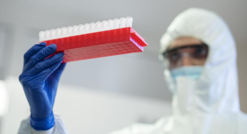 Lépfenével fertőződött egy férfi Békés vármegyében