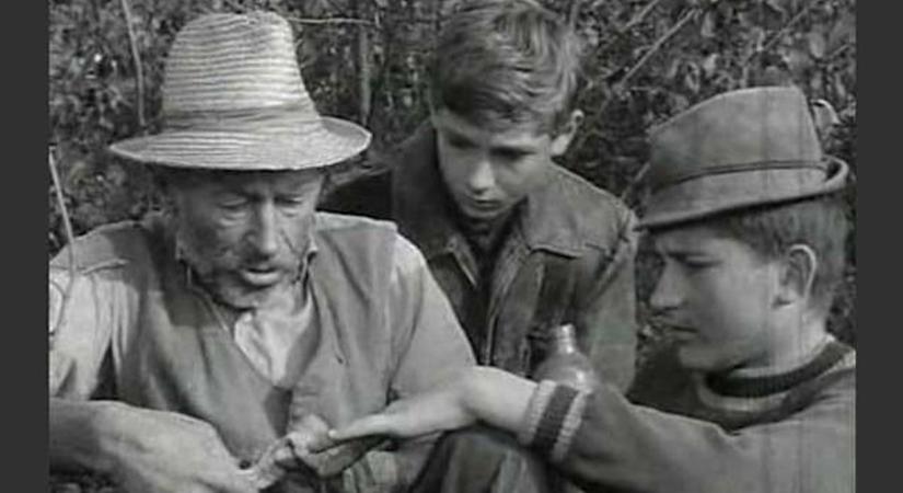 Retró kvíz: felismered egyetlen kép alapján a legendás magyar sorozatokat?