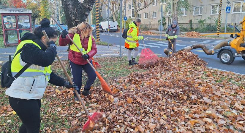 Folyamatosan gyűjtik a lombot Győrben - fotók
