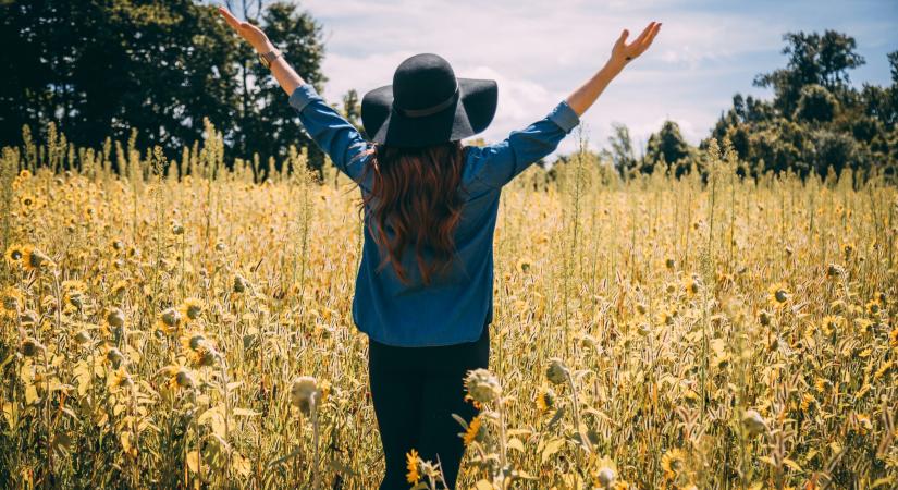 Mennyi idő kell, míg a hála valóban megváltoztat? – Gyakorlati ütemterv a kézzelfogható eredményekhez