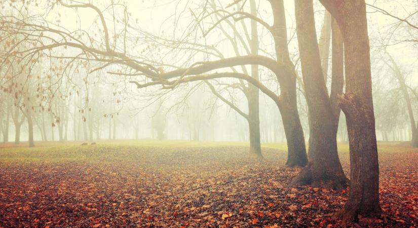 Hideg idő és sűrű köd: a holnapi nap nem lesz sétagalopp