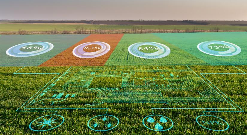 Ez lenne a titok? Így kaszálhatnak nagyot a magyar gazdák?