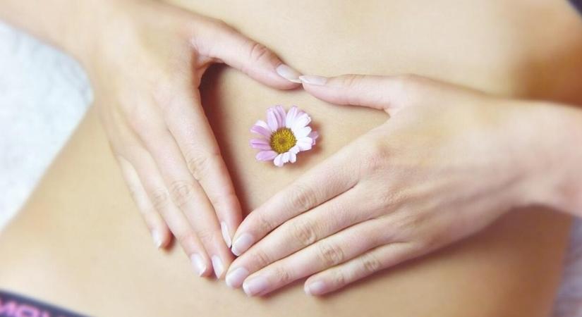 Hasplasztika: az álomalak elérésének útja