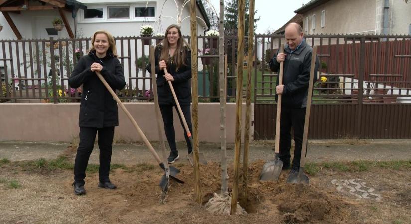 Debrecen keleti városrészében folytatódott az őszi faültetési akció – videóval