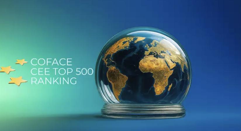 Coface: Ezek a régió legnagyobb vállalatai – A Mol eggyel hátrébb csúszott, nagyot mentek a Lidl-leányok