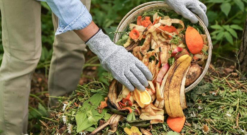 Komposzt érlelés télen – megáll-e a folyamat és mit tegyünk?