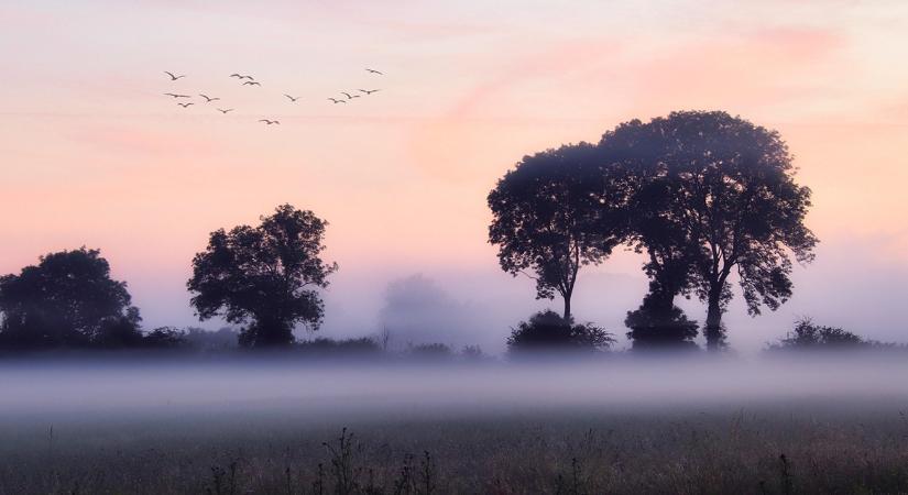 Időjárás: Borzalmas látási viszonyok nehezítik a szabadtéri munkát VIDEÓ
