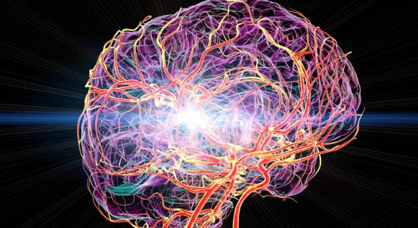 Figyelmeztetés: drámaian nőhet a stroke esélye, ha ilyen problémával küzd