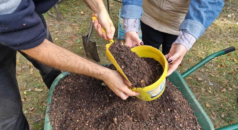Rég nem látott látogató lepte meg Szegedet, a Komposztfutárok kapták lencsevégre