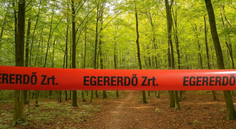 Döbbenet, mire figyelmeztetnek a hazai szakemberek: illegális erdőlezárásokkal sokkolják a túrázókat