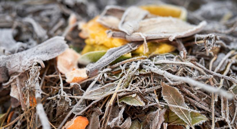 Sarkvidéki hideg jön Magyarországra: már érkezik az igazi tél