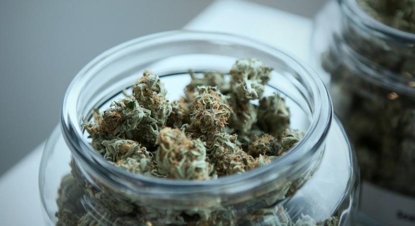 A drogellenes küzdelemre fókuszál a MCC Budapest Summit