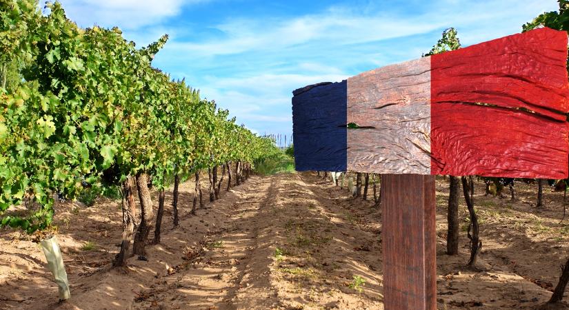 Macront is meggyőzték a francia gazdák? – elbukhat a Mercosur-tervezet