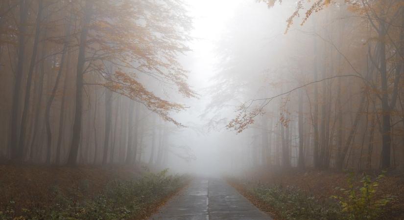 Borult, párás idő