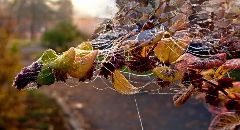 Megmarad a borongós reggel Borsodban: Vajon kisüt a nap a Bükk felett?