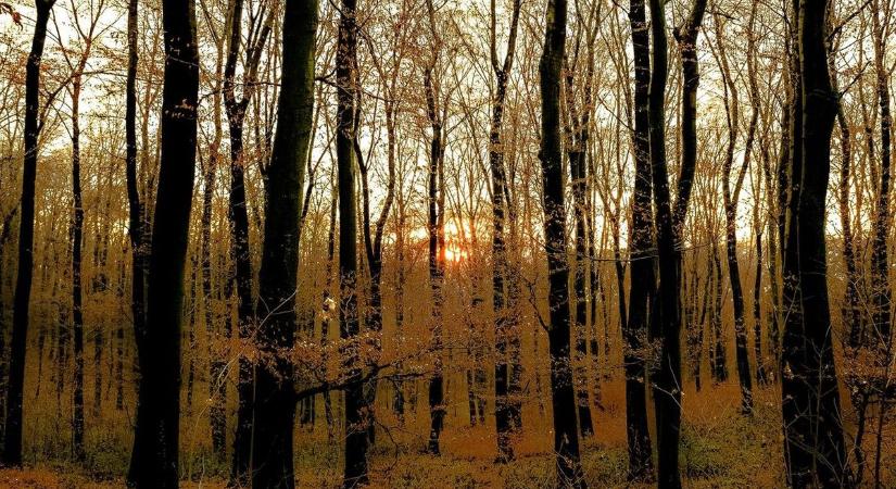 Csütörtökön hiába várjuk a napsütést – így alakul az időjárás Heves vármegyében