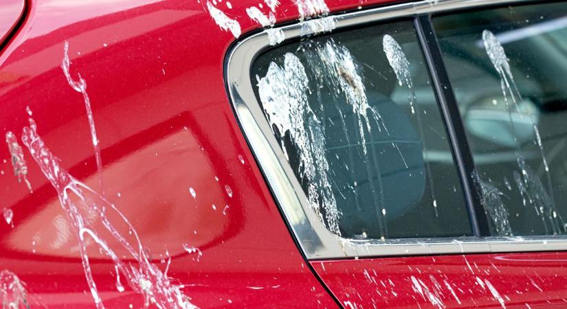 Kiderült, ezekre az autókra piszkítanak leggyakrabban a madarak