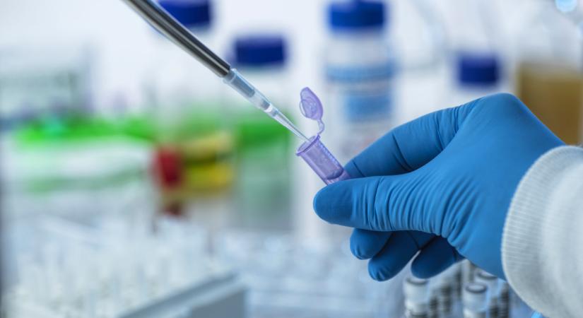 Pécsen elhangzott, amit minden sportolónak tudnia kell, a Kenderesi-ügyet sem lehetett megkerülni