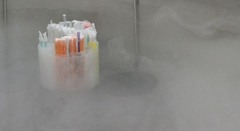 Áttörés: végre azoknak a magyaroknak is születhet gyereke, akik eddig nem is reménykedhettek benne, a baloldali média rögtön neki is esett a programnak