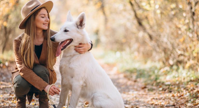 Napi horoszkóp, 2025. november 13.: A Szűz ne féljen flörtölni, a Bakot továbbképzésre küldik