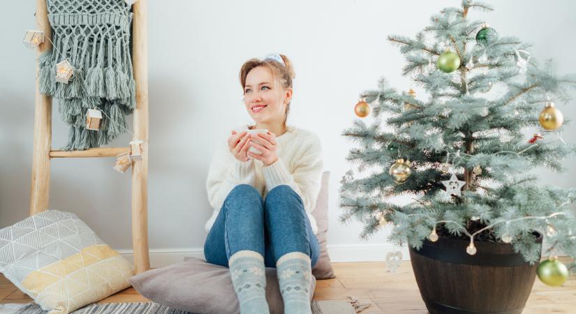 Karácsonyfa helyett ez az 5 cserepes növény hódít idén az ünnepek sztárjaként