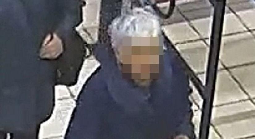 Tolvaj nagyit keresnek Mosonmagyaróváron - fotó