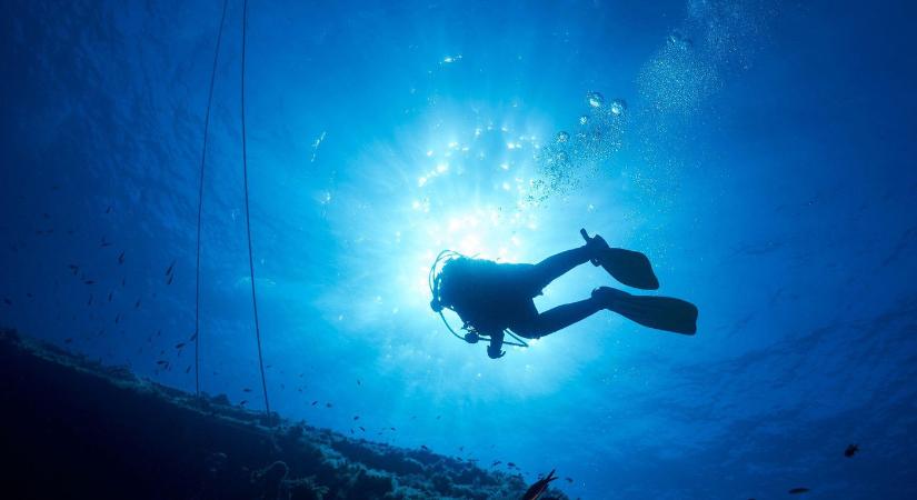 Idegen lények jöttek szembe a búvárokkal a Mariana-ároknál, ez az első találkozás a fura teremtményekkel
