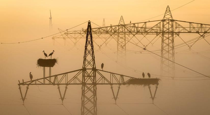 Jövőre sem nőhet a lakossági fogyasztók villamosenergia rendszerhasználati díja
