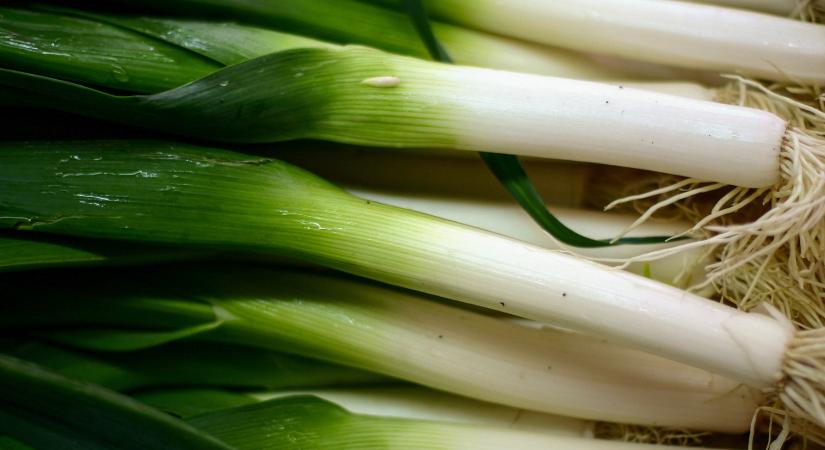 Az utolsó konyhakerti lakók felhasználása