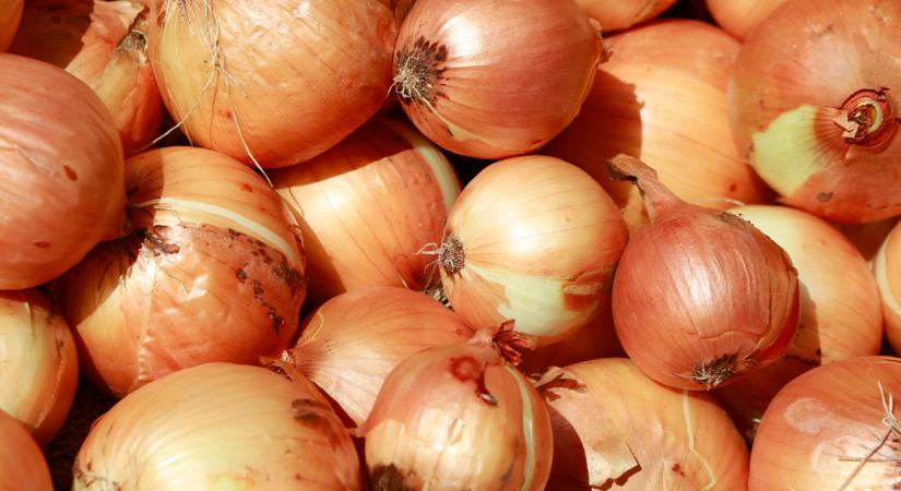 Sokkoló, ami a hagymával történik rengeteg piacon: itt az igazság